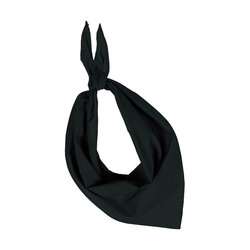 KP064 FIESTA - BANDANA