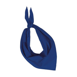KP064 FIESTA - BANDANA