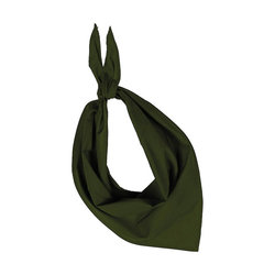 KP064 FIESTA - BANDANA