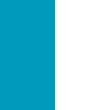 Turquoise/White