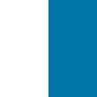 White/Aqua Blue