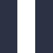 Navy/White/Navy